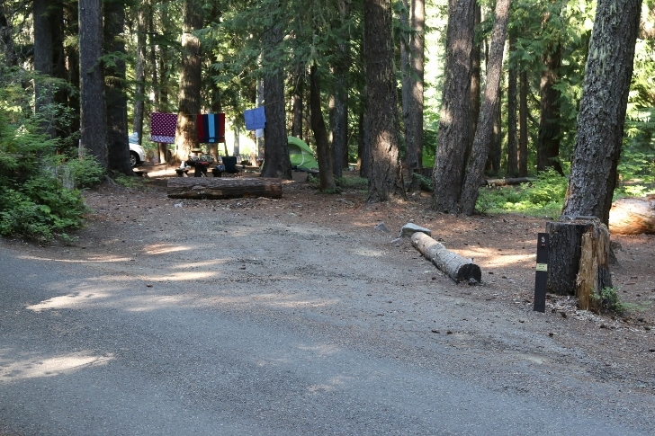 Camping in Washingtons Kachess Campground.